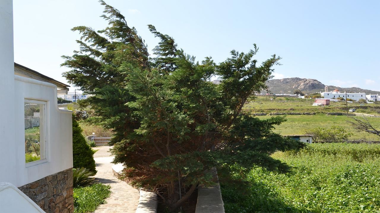 Olive Mykonos Villas Ano Mera Exterior foto