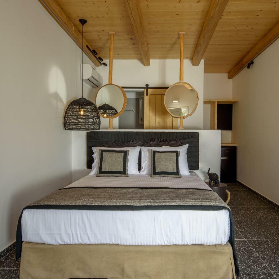 Olive Mykonos Villas Ano Mera Exterior foto